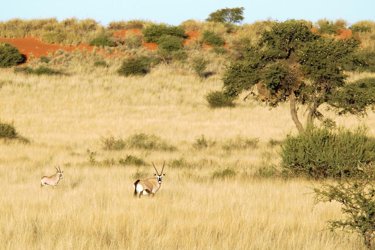 Kalahari Anib Camping2Go Mariental Bagian luar foto